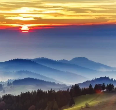 Black-Forest-1000x667
