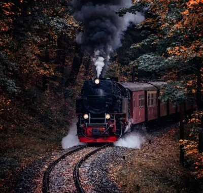 Harz-National-Park-1000x667